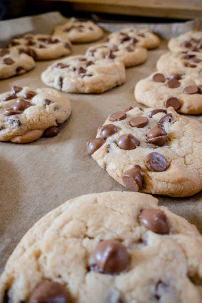 istock Warm and Gooey Chocolate Chip Cookies Cooling on a Tray 2176177365