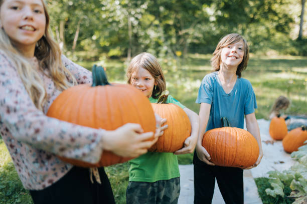 istock Children Holding Freshly Harvested Pumpkins 2176178041