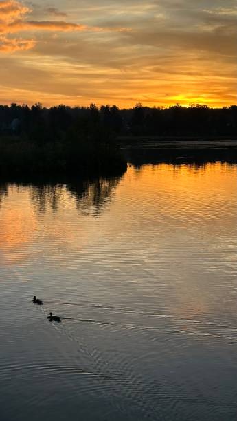 istock Bright beautiful sunset on the river, photo on a mobile phone 2176189500