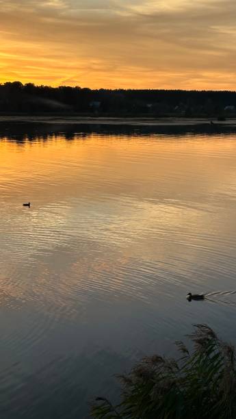 istock Bright beautiful sunset on the river, photo on a mobile phone 2176189510
