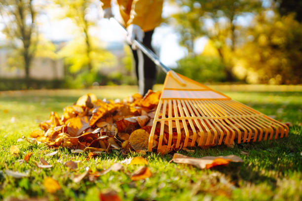 istock Collect autumn leaves with a rake, work in the garden, park. 2176192000