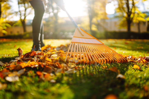 istock Collect autumn leaves with a rake, work in the garden, park. 2176192048