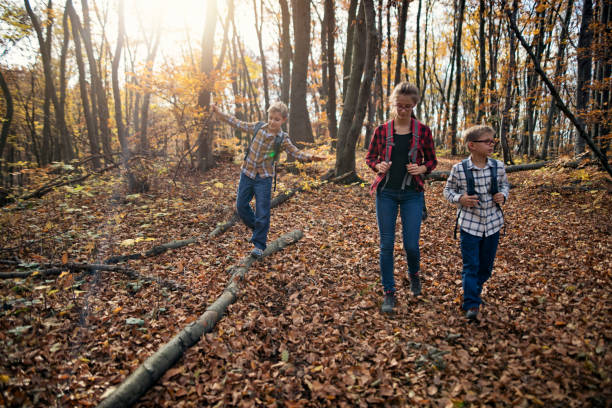 istock Three kids hiking through autumn forest. 2176192756