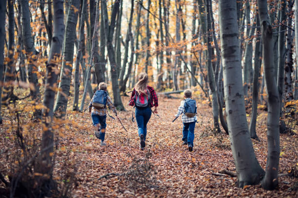 istock Three kids hikers running through autumn forest. 2176192824