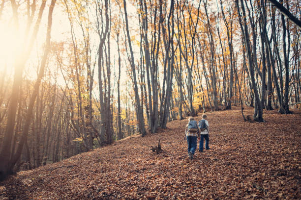 istock Two little boys hiking through autumn forest. 2176193059