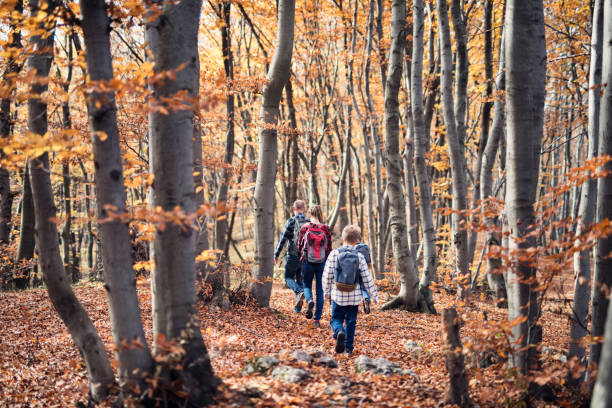 istock Father and three kids hiking through autumn forest. 2176193154