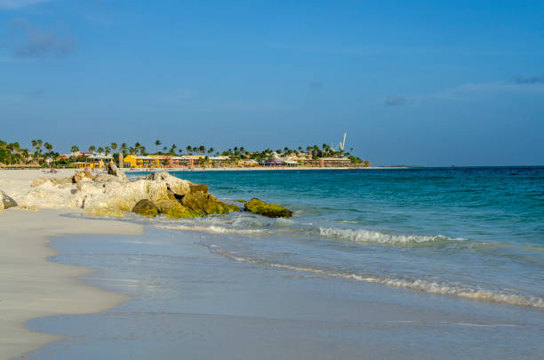 A woman in a long green dress feeds flamingos on a beach in Aruba.