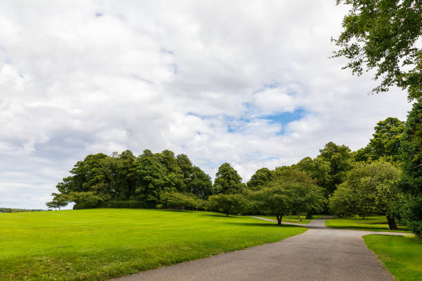 Green grass field and green trees under a cloudy sky