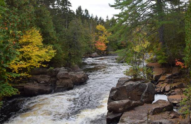 istock Diable river in the Mont-Tremblant National Park 2176205458
