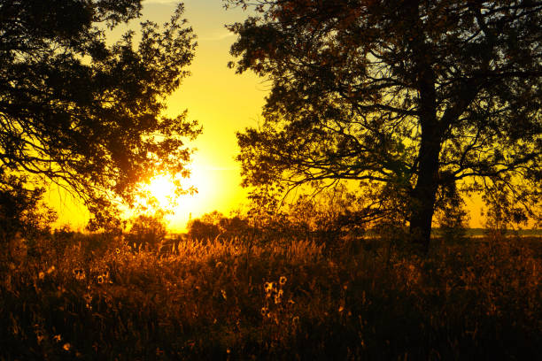 Autumn time background