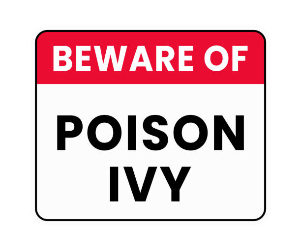 istock Beware of Poison Ivy Sign, Warning Alert, Safety, Vector, Template, Poster 2176205992