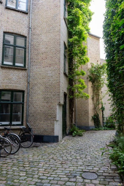 istock Copenhagen bike 2176206754