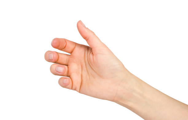istock A woman's hand is holding something isolated on a white background. 2176208239