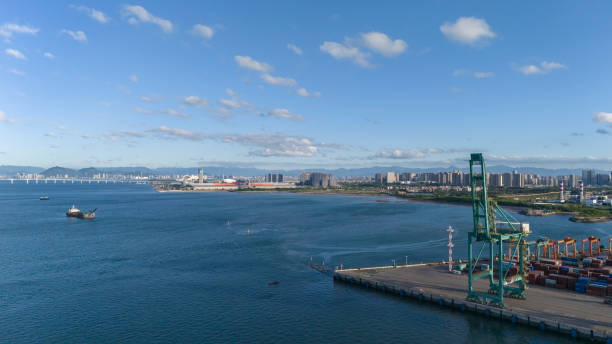 Cranes in the city harbour