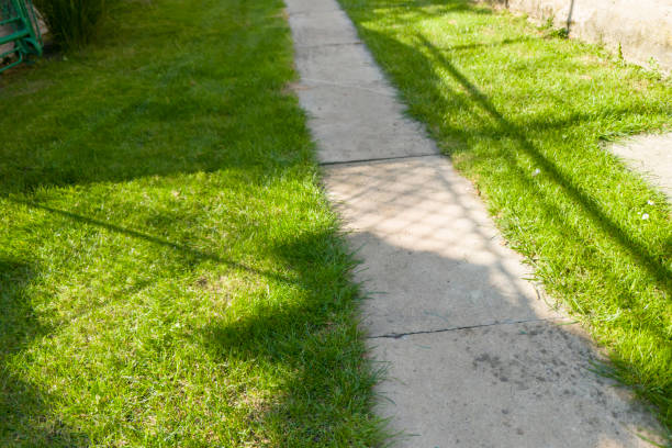 A sunny garden path bordered by vibrant green grass, showcasing light and shadow patterns on the pavement, perfect for nature and outdoor enthusiasts.