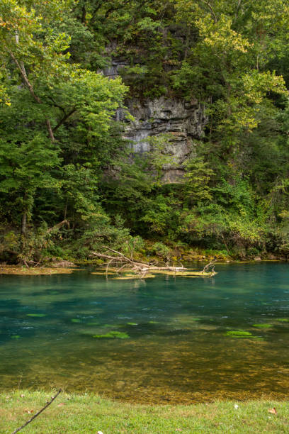 istock Ozark NSR - Big Spring - Rock Wall in the Forest 2176217381