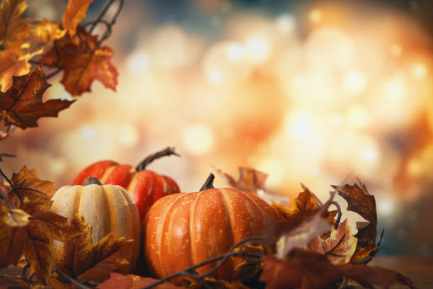 istock Autumn Decoration with Pumpkins and Leafs on Rustic Background 2176222394