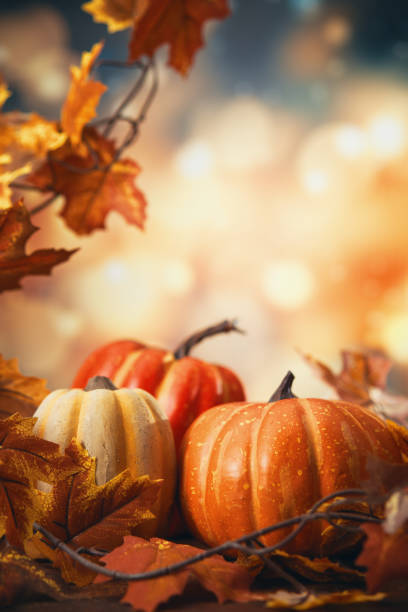 istock Autumn Decoration with Pumpkins and Leafs on Rustic Background 2176222408