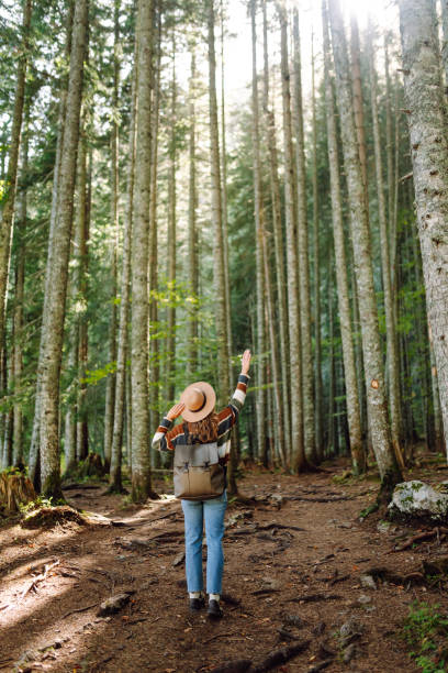istock A young woman stands in a sunlit forest, surrounded by tall trees. 2176226386