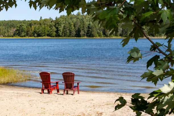 istock Two Red Adirondack Chairs on a Beach by Wolseley Bay 2176227444