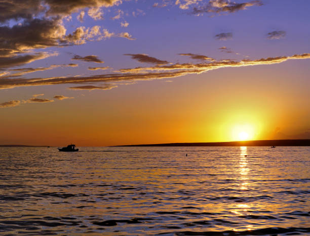 istock Shiny golden sunset during blue hour at the seaside 2176228643