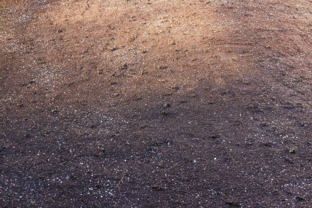 Free picture: soil, sand, dirty, shadow, texture, rough, pattern ...