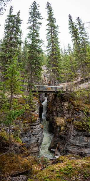 istock Incredible Maligne Canyon in Jasper National Park during spring time with unreal scenic Canadian views in the Rockies of Canada. Scenic nature view in popular tourism, tourist spot. 2176239996