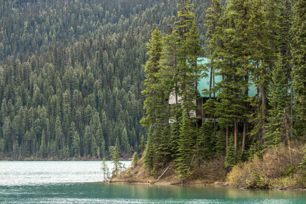 istock Stunning views from Emerald Lake Lodge in Yoho National Park, Canada during summer time with incredible nature scenes in the boreal forest of Canada. 2176243534
