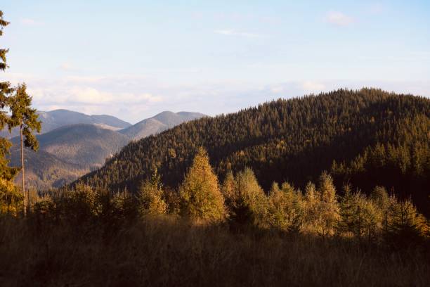 Experience the breathtaking beauty of autumn as the mountains come alive with vibrant hues of gold, red, and orange. The crisp air and clear skies offer a serene backdrop to the rolling peaks, creating a peaceful escape into nature’s seasonal masterpiece. Each slope and valley is painted with the colors of fall, inviting quiet reflection amidst the grandeur of the autumn mountains
