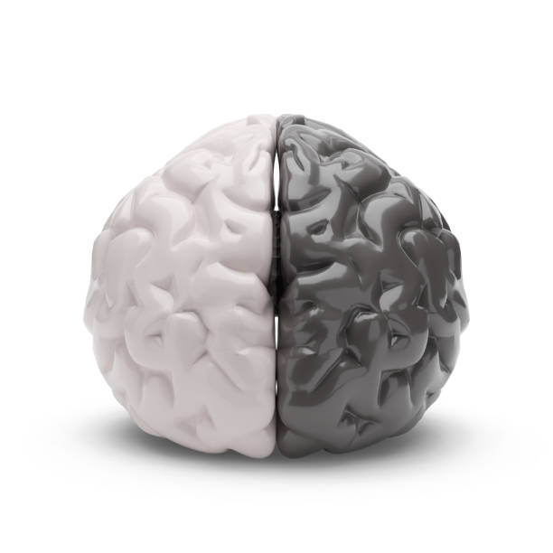 istock Half black and half white human brain isolated on white background. 3d illustration. 2176256857
