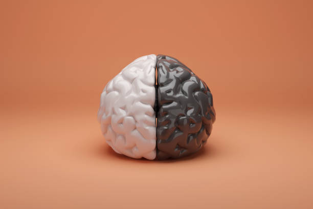 istock Half black and half white human brain isolated on orange background. 3d illustration. 2176256876