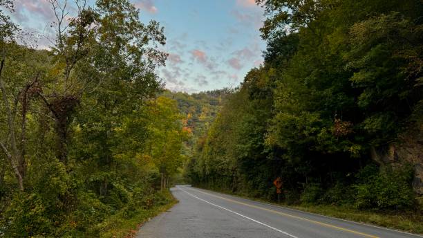 istock A road less traveled 2176260743
