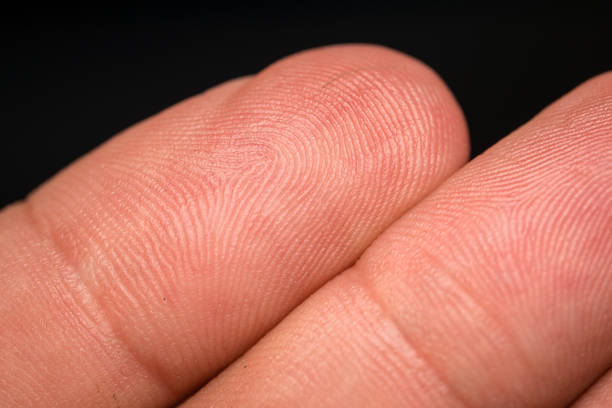 istock Close-up of fingertip with fingerprint 2176265119