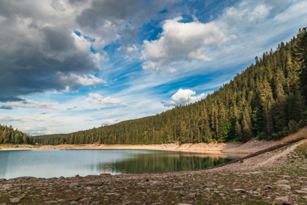 This photo captures the stunning beauty of Durmitor Forest and Black Lake in Durmitor National Park, Montenegro. Surrounded by dense coniferous trees, the tranquil lake is set against a backdrop of majestic mountain landscapes. The image highlights the pristine nature and serene atmosphere of this breathtaking wilderness, perfect for projects related to nature, travel, and Montenegro's national parks.
