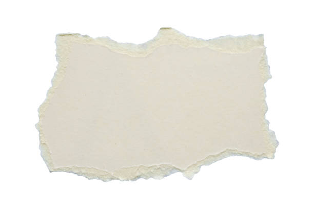 istock White ripped paper torn edges strips isolated on white background 2176267350