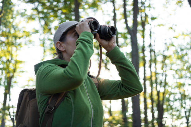 istock Woman Birdwatching in Lush Green Forest at Sunset 2176268488