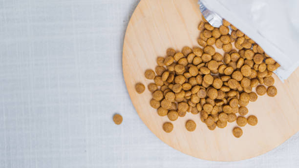 istock Spilled Pet Food on Wooden Board 2176270068