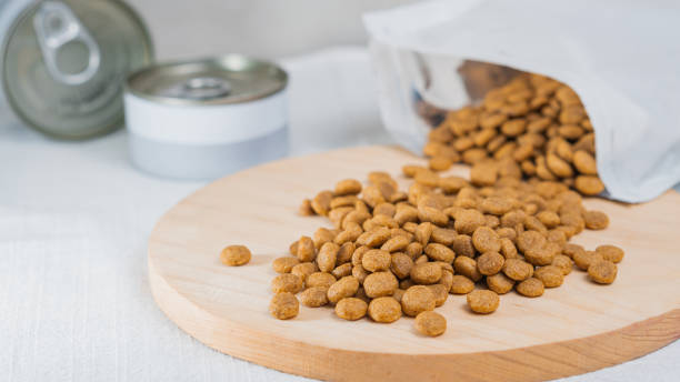 istock Pet Food on Wooden Cutting Board 2176270320
