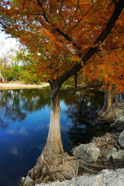 istock McKinney Falls State Park Near Austin Texas 2176270459