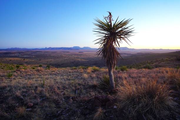 istock Sunrise and Sunset from the Mountain Top View Point   Davis Mountains State Park Texas 2176270807