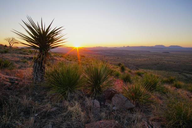 istock Sunrise and Sunset from the Mountain Top View Point   Davis Mountains State Park Texas 2176270838