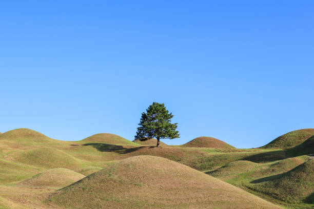 istock Solitary tree on Bullo-dong Ancient Tomb Park 2176290953