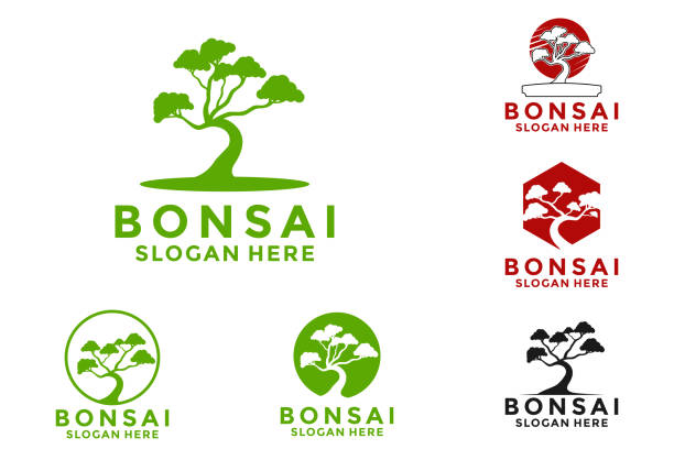 Set bundle Bonsai logo vector, Houseplant bonsai logo design template Set bundle Bonsai logo vector, Houseplant bonsai logo design template bonsai tree stock illustrations