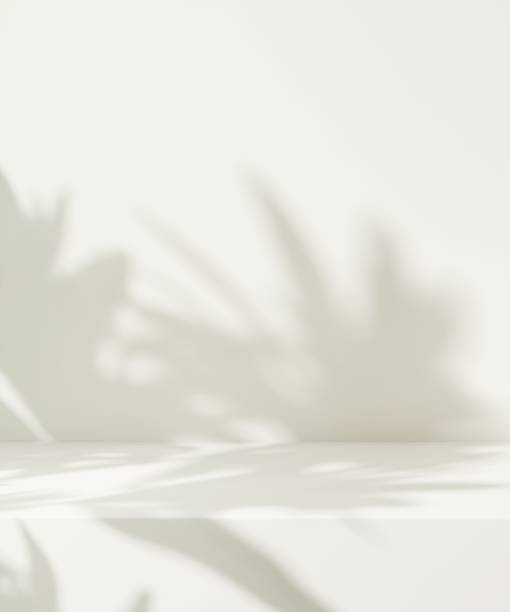 istock Modern, minimal empty cream white counter table top in dappled sunlight, leaf foliage shadow on wall for luxury organic fashion, beauty, cosmetic, skincare, body care product display background 3D 2176302043