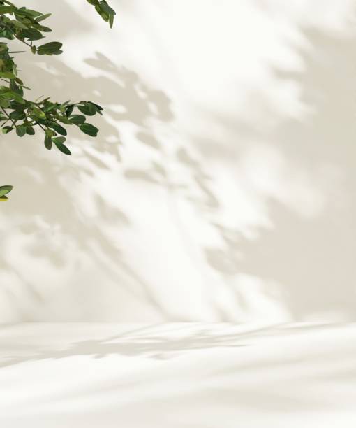 istock Modern, minimal empty cream white counter table top in dappled sunlight, leaf foliage shadow on wall for luxury organic fashion, beauty, cosmetic, skincare, body care product display background 3D 2176302049