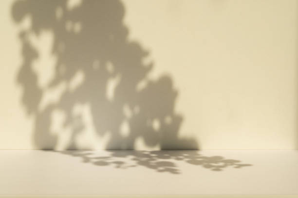 istock Studio style background wall decoration presentation uses white and beige tones. with shadows cast from a nearby window, concept creating a decorative 2176316046