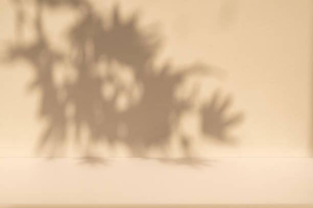 istock Studio style background wall decoration presentation uses white and beige tones. with shadows cast from a nearby window, concept creating a decorative 2176316047