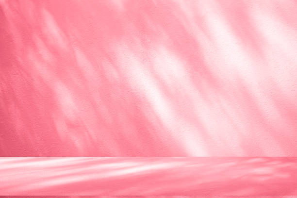 istock Wall interior background, studio, and backdrops show products. with shadow from window color white and pink light. background for text insertion and presentation of product 2176316191