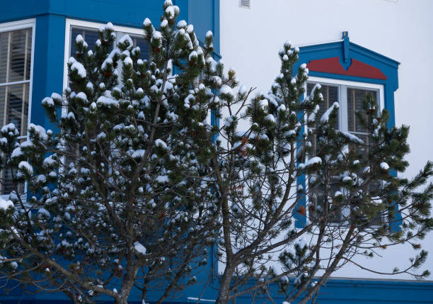 Siversky village, Leningrad region, Russia - Январь 1, 2023: Wooden house covered with snow in a winter village
