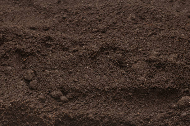 istock Black land for plant background. Top view. 2176321735